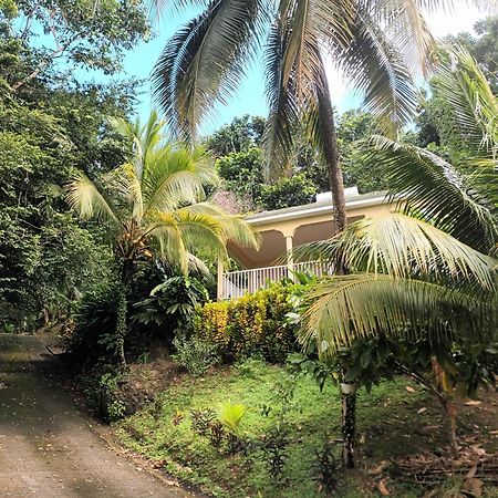 Martinique La Petite Maison Dans La Colline لو لامينتين المظهر الخارجي الصورة