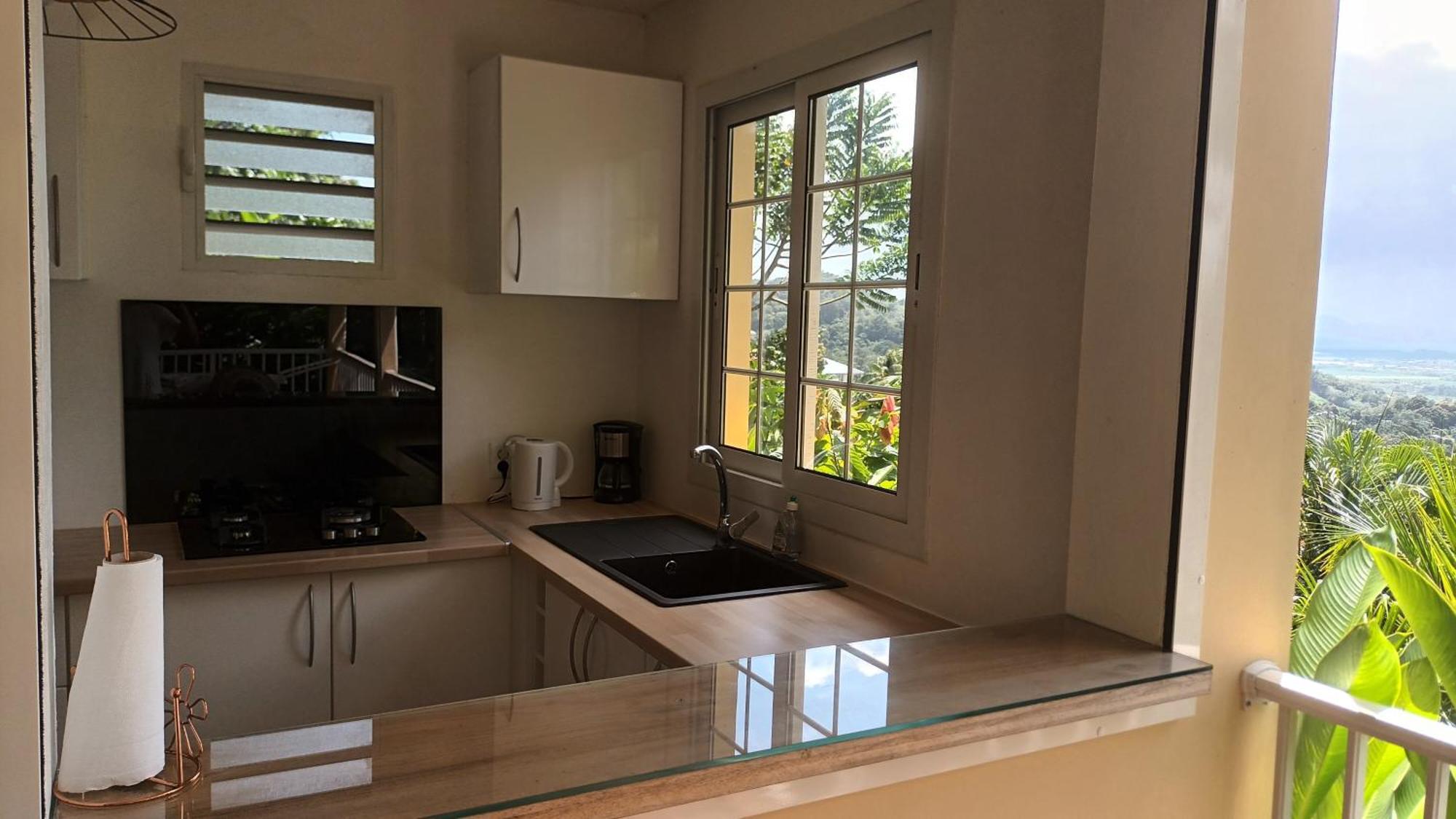 Martinique La Petite Maison Dans La Colline لو لامينتين المظهر الخارجي الصورة