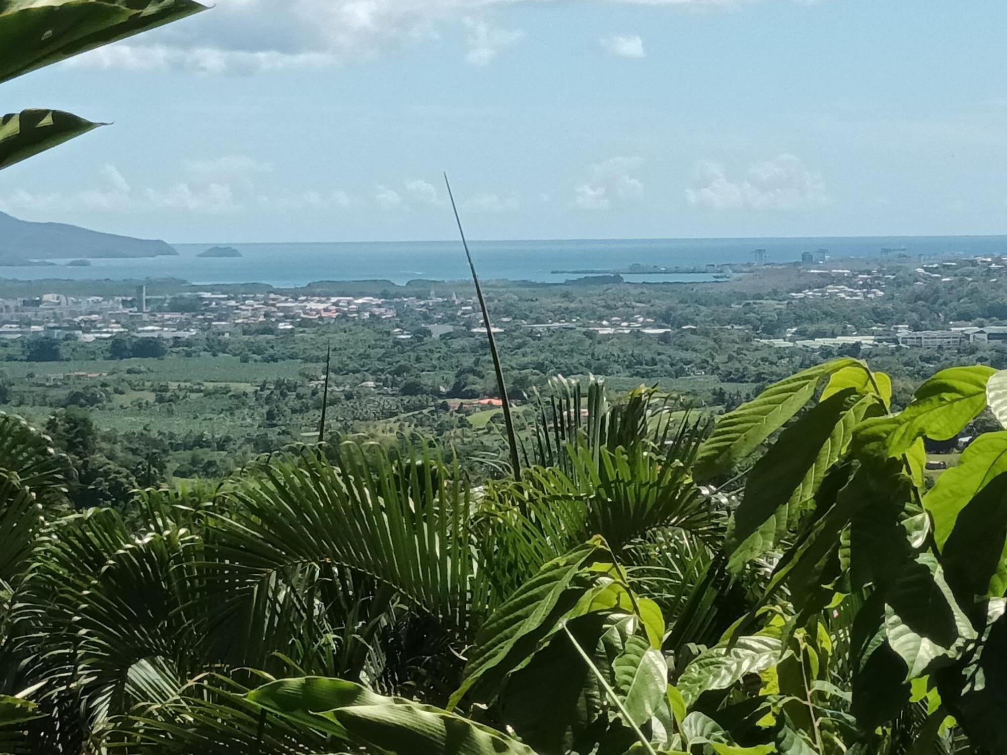 Martinique La Petite Maison Dans La Colline لو لامينتين المظهر الخارجي الصورة